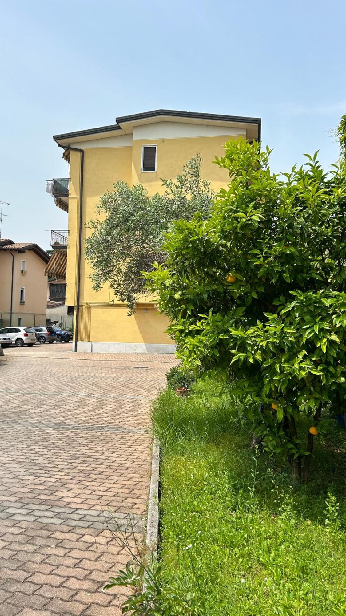 Lorenzini